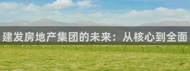 天狮娱乐怎么玩法：建发房地产集团的未来：从核心到全面