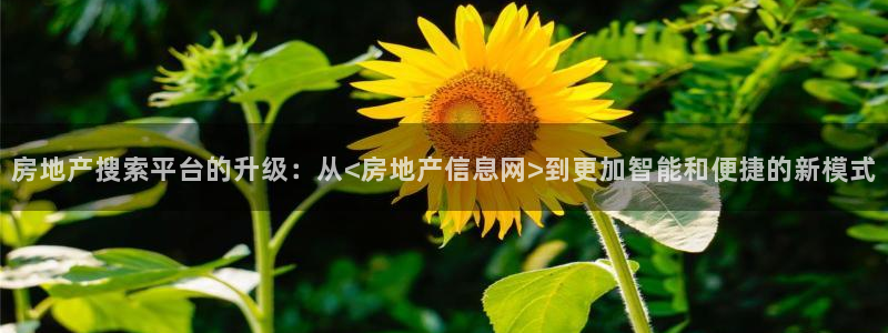 天狮娱乐待遇怎么样：房地产搜索平台的升级：从<房地产信息网>