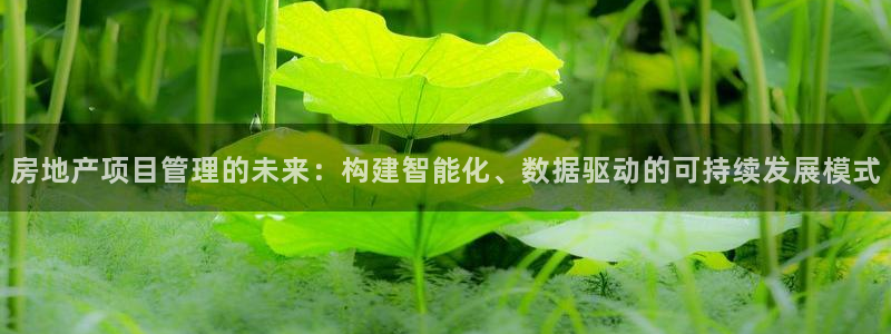天狮娱乐注册官方网站：房地产项目管理的未来：构建智能化、数据