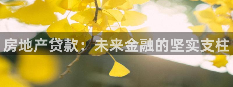 天狮娱乐官网：房地产贷款：未来金融的坚实支柱