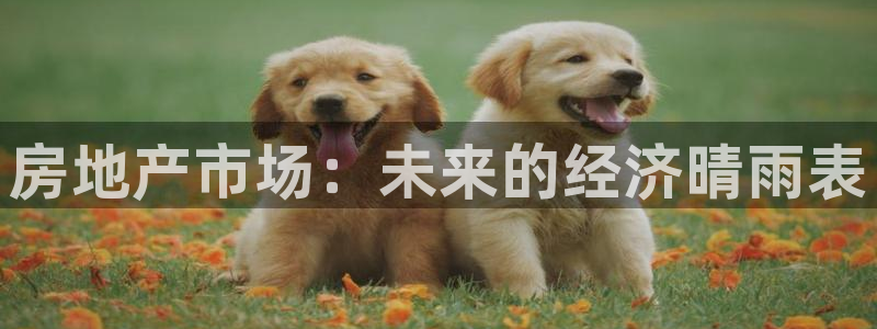 天狮娱乐彩票合法吗：房地产市场：未来的经济晴雨表