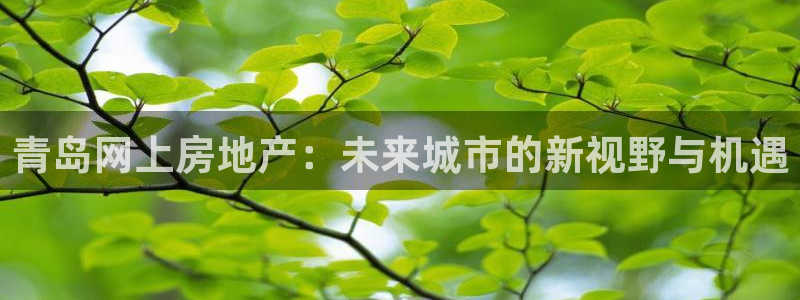 天狮娱乐e招d商98732：青岛网上房地产：未来城市的新视野