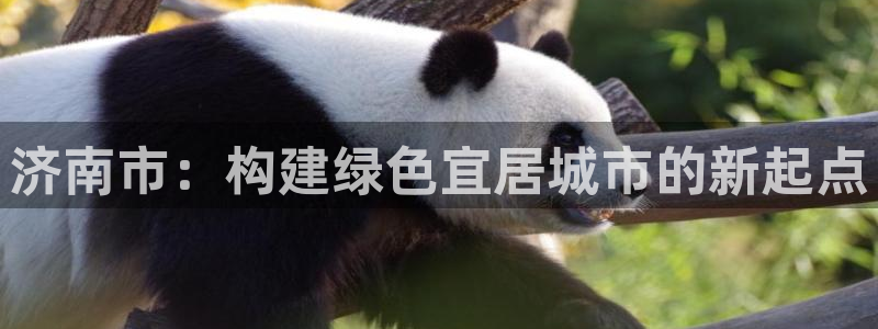 天狮娱乐是私人平台吗：济南市：构建绿色宜居城市的新起点