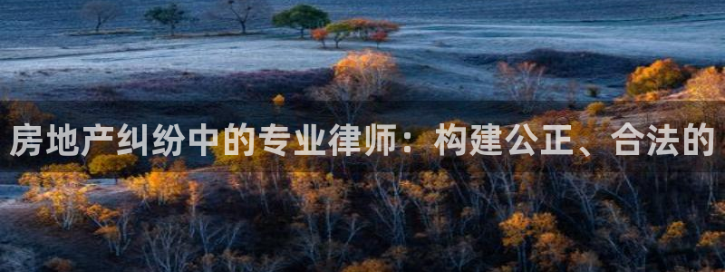 天狮娱乐登入：房地产纠纷中的专业律师：构建公正、合法的