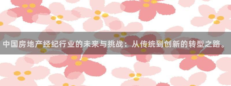 天狮娱乐d 判官：中国房地产经纪行业的未来与挑战：从传统到创