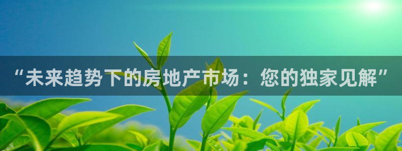 天狮娱乐挂机软件：“未来趋势下的房地产市场：您的独家见解”