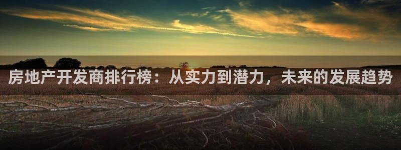 天狮娱乐26日判官333oo：房地产开发商排行榜：从实力到潜