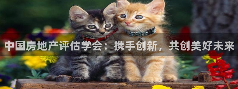 天狮娱乐股东29229：中国房地产评估学会：携手创新，共创美