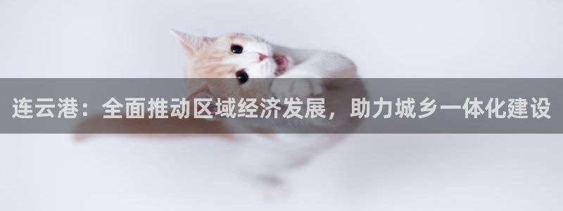 天狮娱乐 b运营61166：连云港：全面推动区域经济发展，助