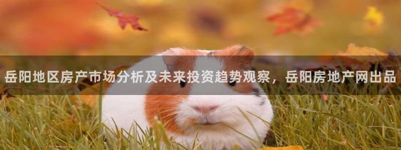 天狮娱乐最高奖金注册：岳阳地区房产市场分析及未来投资趋势观察
