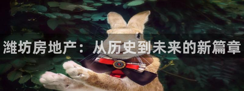 天狮娱乐代理最高多少：潍坊房地产：从历史到未来的新篇章
