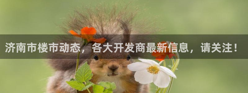 天狮娱乐反点啥意思
