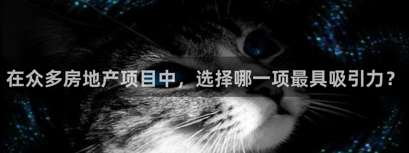 天狮娱乐 官方注册官网：在众多房地产项目中，选择哪一项最具吸