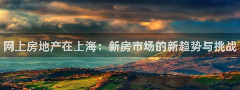 天狮娱乐彩票合法吗：网上房地产在上海：新房市场的新趋势与挑战
