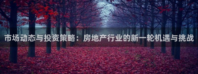 天狮娱乐怎么玩法：市场动态与投资策略：房地产行业的新一轮机遇