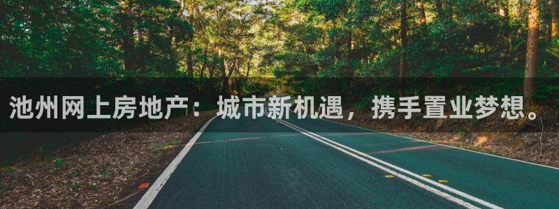 天狮娱乐彩票客服电话：池州网上房地产：城市新机遇，携手置业梦