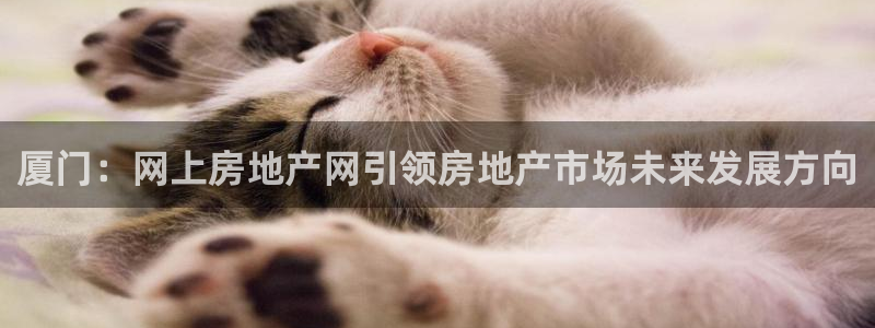 天狮娱乐c OO判官：厦门：网上房地产网引领房地产市场未来发