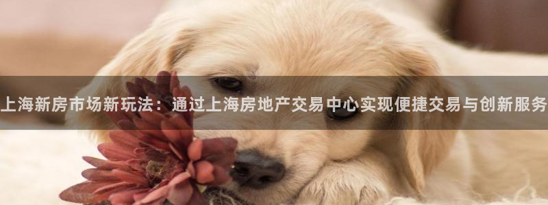 天狮娱乐分分彩下载：上海新房市场新玩法：通过上海房地产交易中