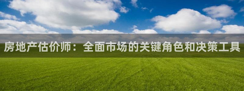 天狮学院娱乐设施：房地产估价师：全面市场的关键角色和决策工具
