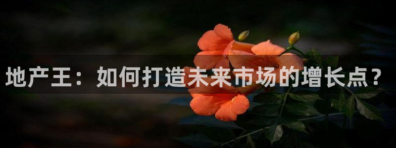 天狮娱乐丶品rd01 vip：地产王：如何打造未来市场的增长
