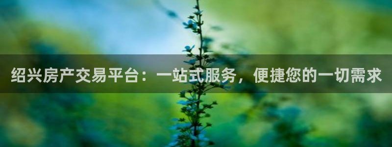 天狮娱乐玩法：绍兴房产交易平台：一站式服务，便捷您的一切需求