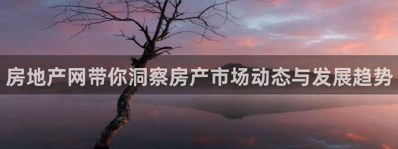 天狮娱乐登入：房地产网带你洞察房产市场动态与发展趋势
