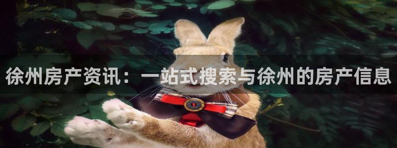 天狮娱乐彩票官网：徐州房产资讯：一站式搜索与徐州的房产信息