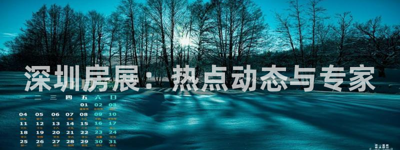 天狮娱乐 送彩金酷赢：深圳房展：热点动态与专家