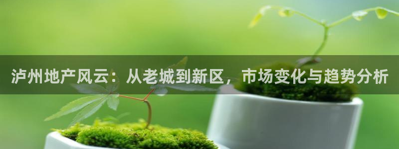 天狮娱乐代理：泸州地产风云：从老城到新区，市场变化与趋势分析