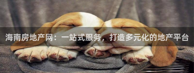 天狮娱乐无法登录怎么办：海南房地产网：一站式服务，打造多元化