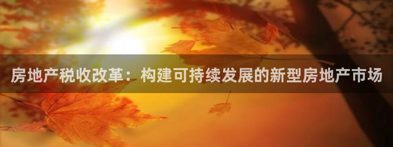天狮娱乐 amp c主管20476：房地产税收改革：构建可持