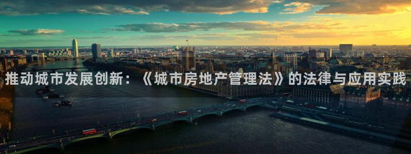 天狮娱乐84374 巅峰h：推动城市发展创新：《城市房地产管