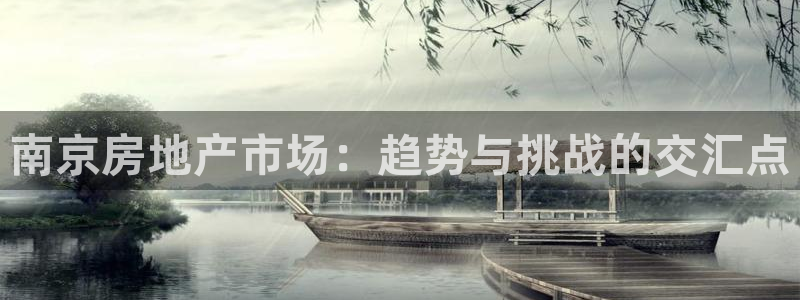 天狮娱乐950594：南京房地产市场：趋势与挑战的交汇点