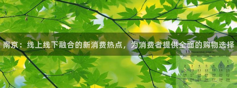 蓝狮娱乐招商天原判官333OO：南京：线上线下融合的新消费热