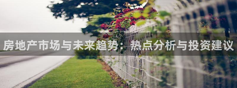 天狮娱乐 b招商61166：房地产市场与未来趋势：热点分析与