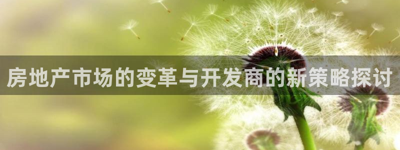 天狮娱乐平台下载：房地产市场的变革与开发商的新策略探讨