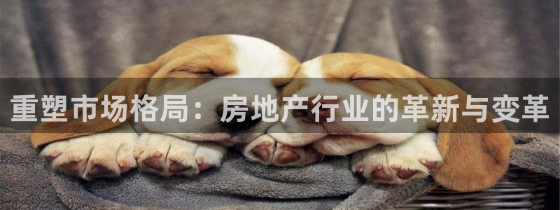 天狮娱乐真的：重塑市场格局：房地产行业的革新与变革