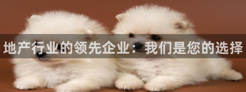狮山天街娱乐圈：地产行业的领先企业：我们是您的选择
