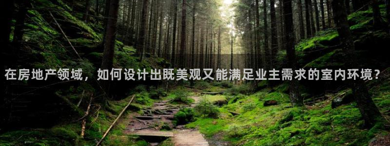 天狮娱乐挂机软件：在房地产领域，如何设计出既美观又能满足业主