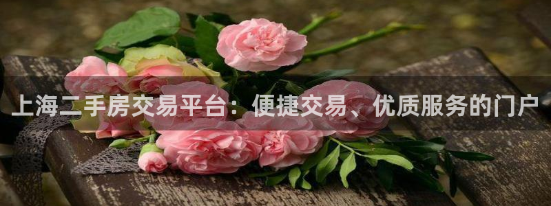 天狮娱乐嘉扣 o：上海二手房交易平台：便捷交易、优质服务的门